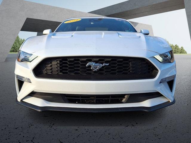 used 2022 Ford Mustang car, priced at $24,478