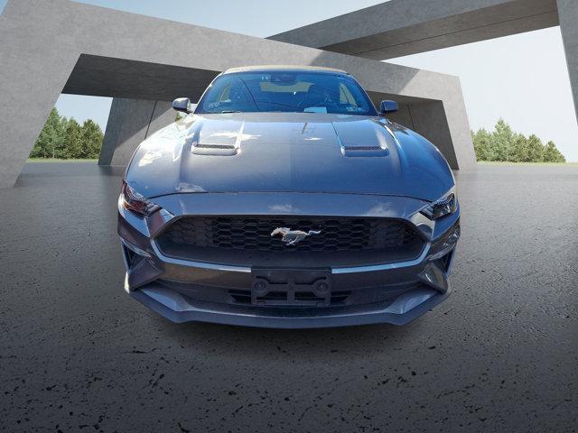 used 2022 Ford Mustang car, priced at $24,787