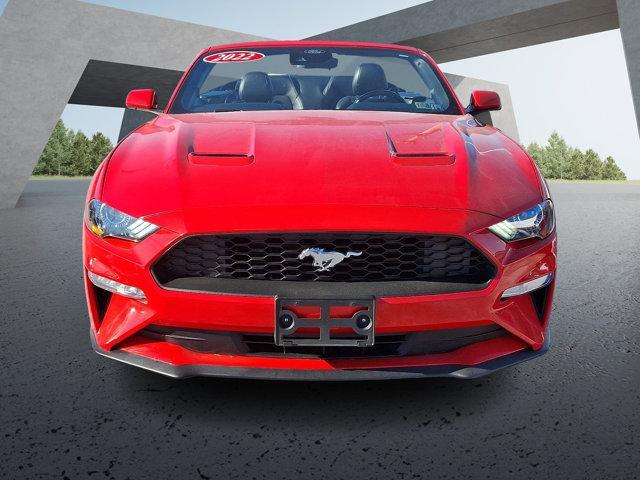 used 2022 Ford Mustang car, priced at $24,787