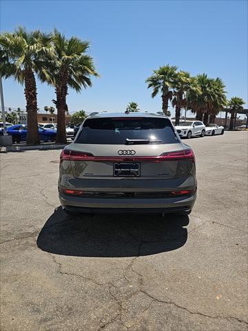 used 2022 Audi e-tron car