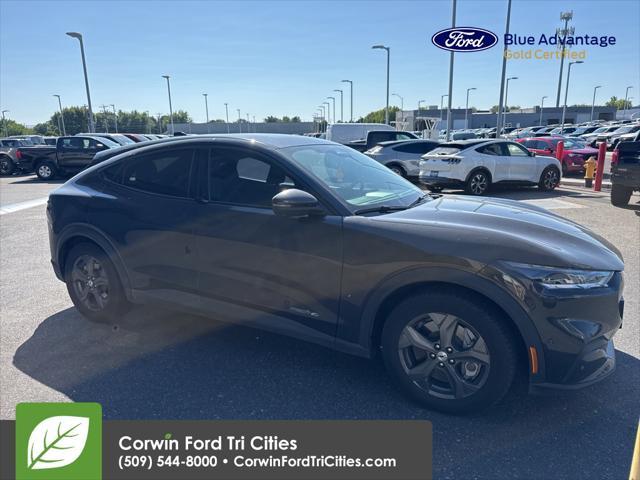 used 2021 Ford Mustang Mach-E car