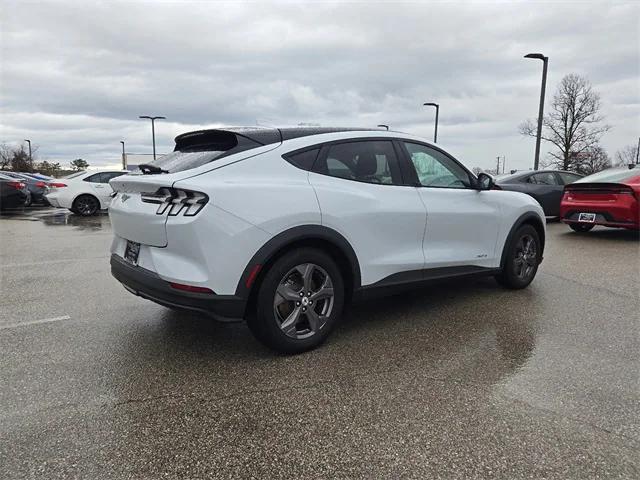 used 2021 Ford Mustang Mach-E car, priced at $22,550