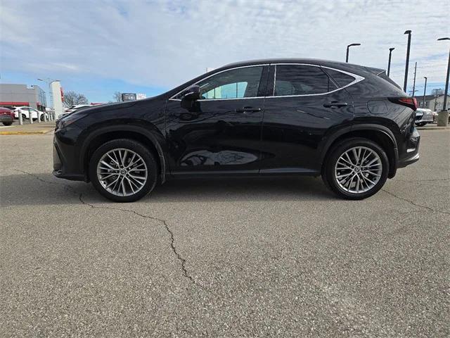 used 2025 Lexus NX 350 car, priced at $46,250