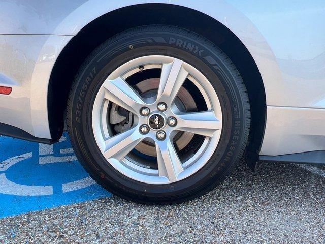 used 2019 Ford Mustang car, priced at $19,995