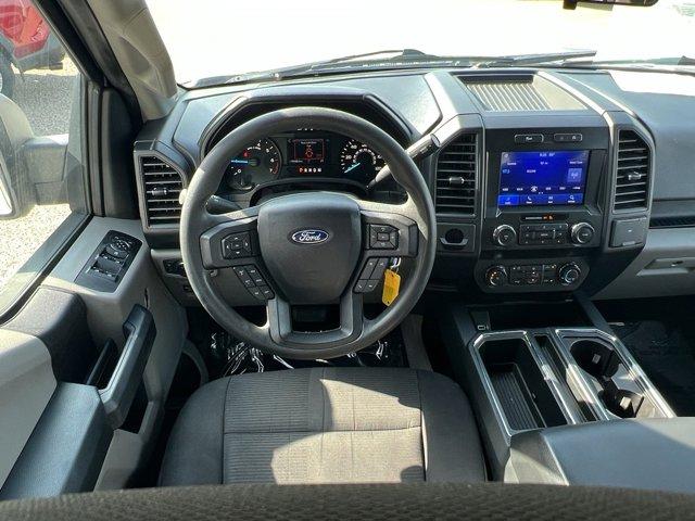 used 2019 Ford F-150 car