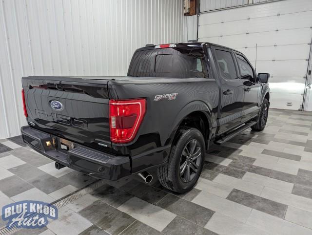 used 2023 Ford F-150 car, priced at $45,998