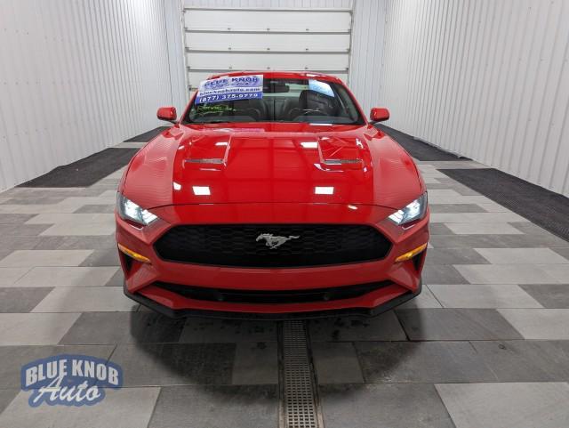 used 2023 Ford Mustang car, priced at $27,998