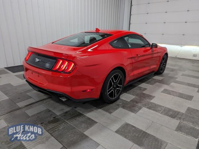 used 2023 Ford Mustang car, priced at $27,998
