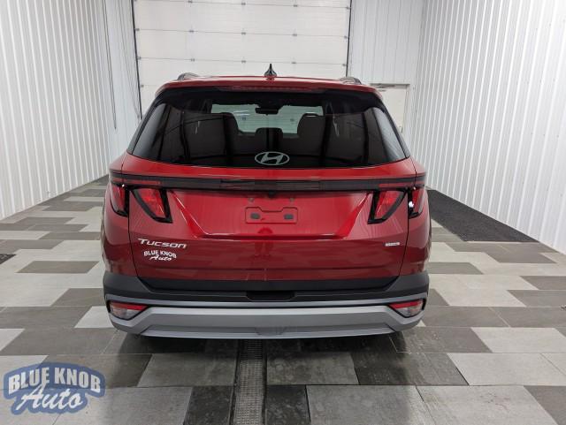 used 2025 Hyundai Tucson car, priced at $29,498