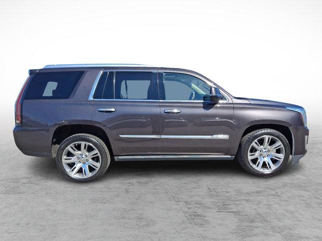 used 2016 Cadillac Escalade car, priced at $26,960