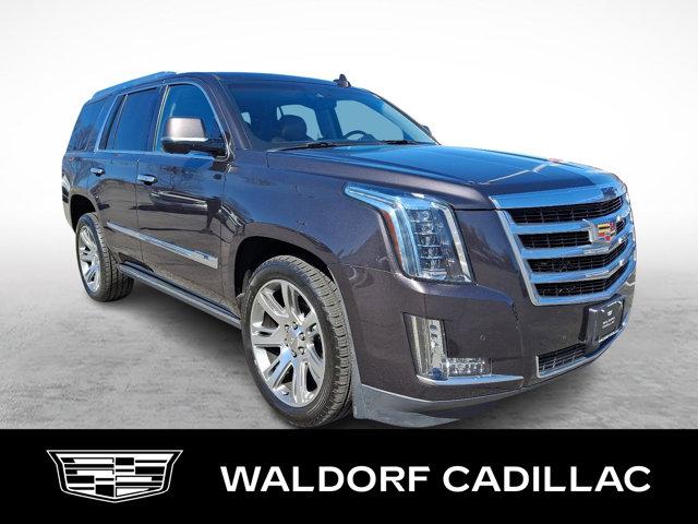 used 2016 Cadillac Escalade car, priced at $26,960