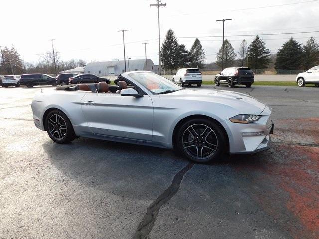 used 2019 Ford Mustang car, priced at $14,299