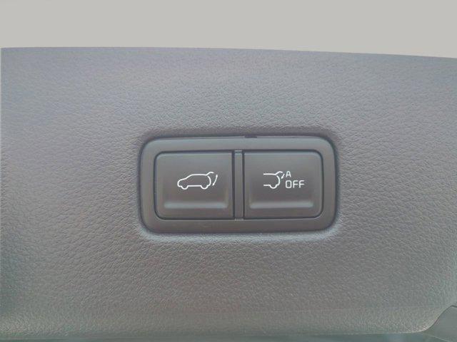 new 2025 Kia Carnival Hybrid car, priced at $46,274