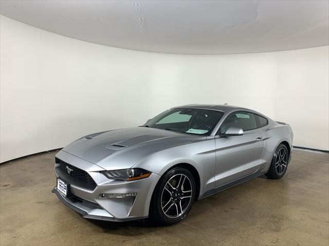 used 2023 Ford Mustang car