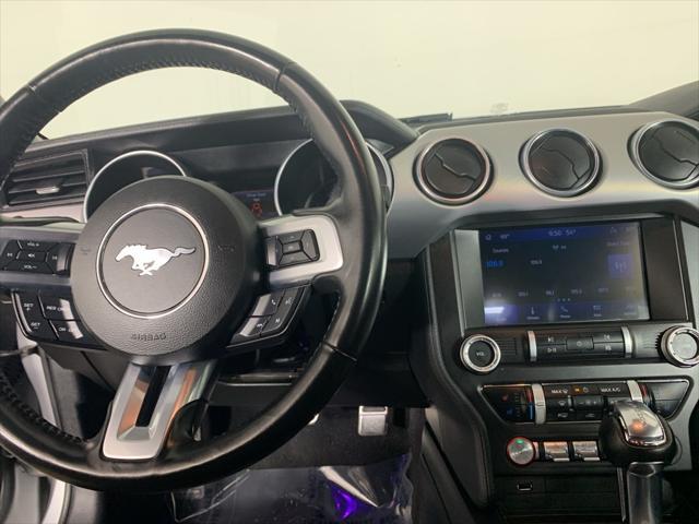 used 2023 Ford Mustang car