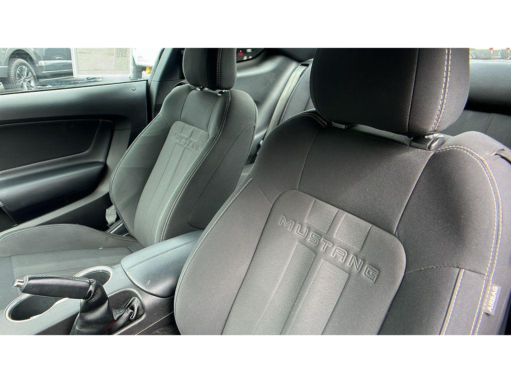 used 2019 Ford Mustang car, priced at $22,976