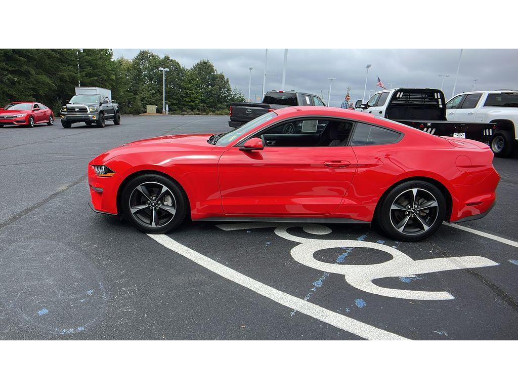 used 2019 Ford Mustang car, priced at $22,976