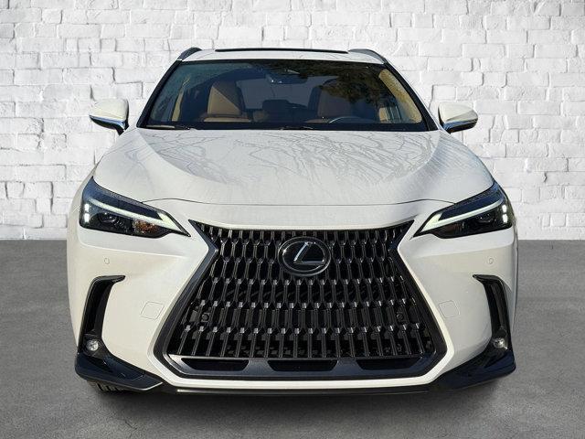 used 2025 Lexus NX 250 car, priced at $40,444