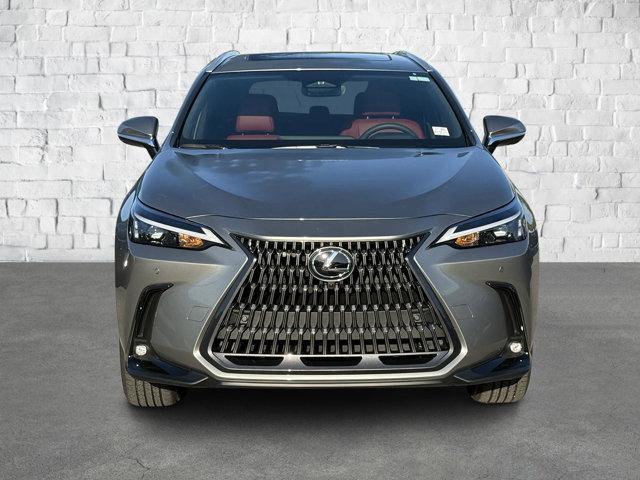 new 2025 Lexus NX 350 car, priced at $51,053