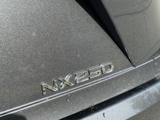 new 2024 Lexus NX 250 car