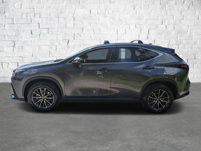 used 2025 Lexus NX 250 car, priced at $42,448