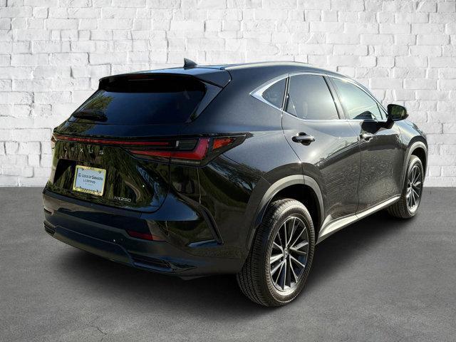 used 2024 Lexus NX 250 car, priced at $41,289