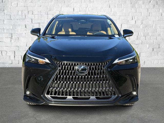 used 2024 Lexus NX 250 car, priced at $41,289