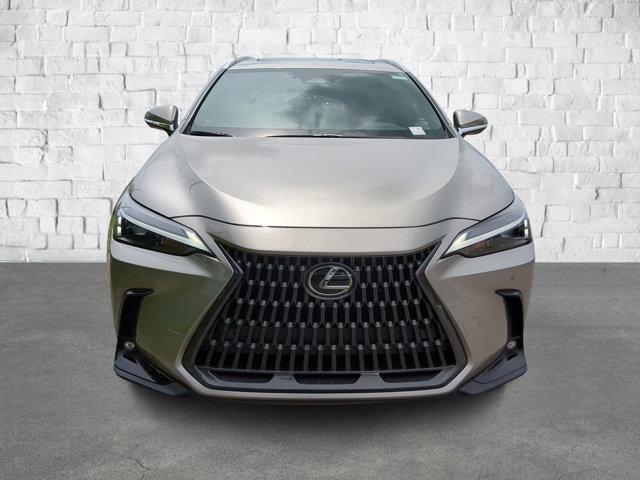 new 2025 Lexus NX 350 car, priced at $51,053