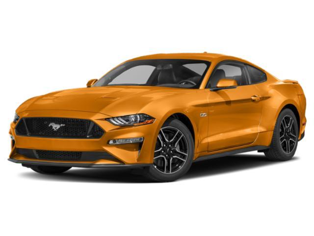 used 2019 Ford Mustang car