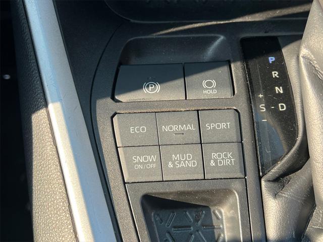 used 2022 Toyota RAV4 car, priced at $27,500