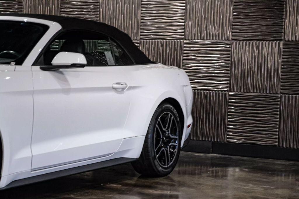 used 2019 Ford Mustang car, priced at $19,500