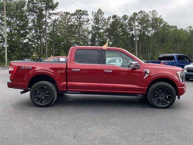 used 2023 Ford F-150 car, priced at $58,500