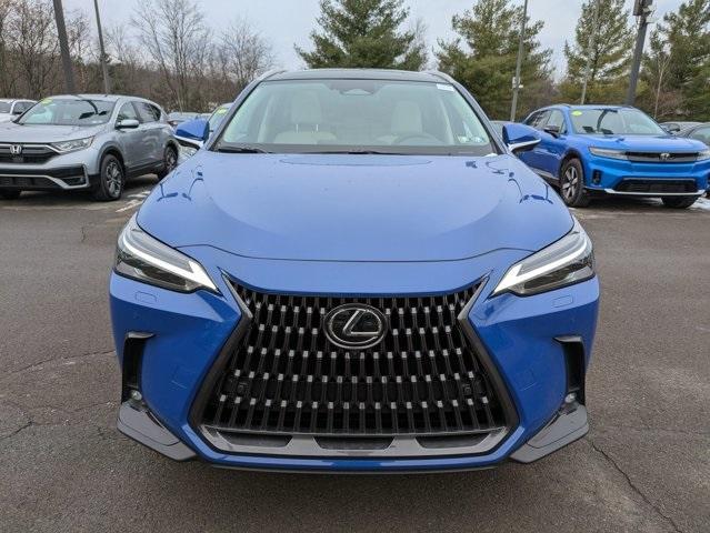 new 2025 Lexus NX 350 car, priced at $58,970