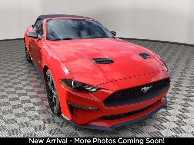 used 2021 Ford Mustang car, priced at $24,290