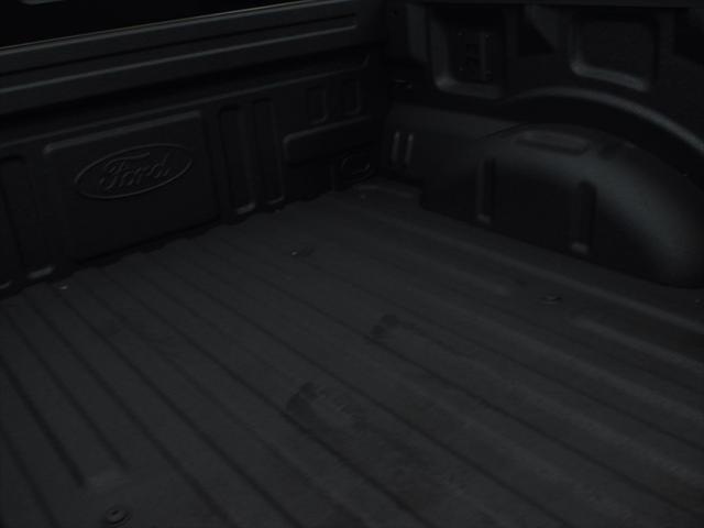 used 2025 Ford F-150 car, priced at $132,848