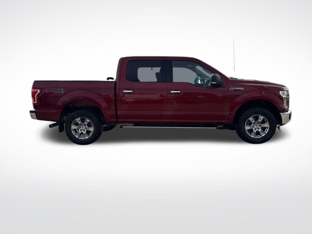 used 2015 Ford F-150 car