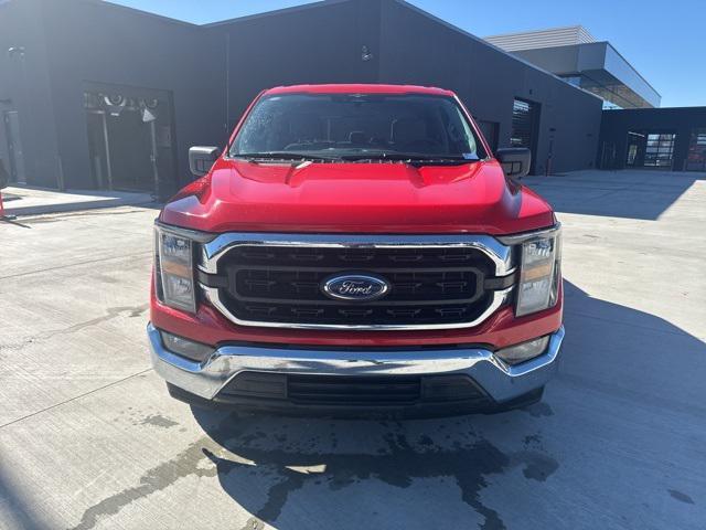 used 2023 Ford F-150 car, priced at $31,000