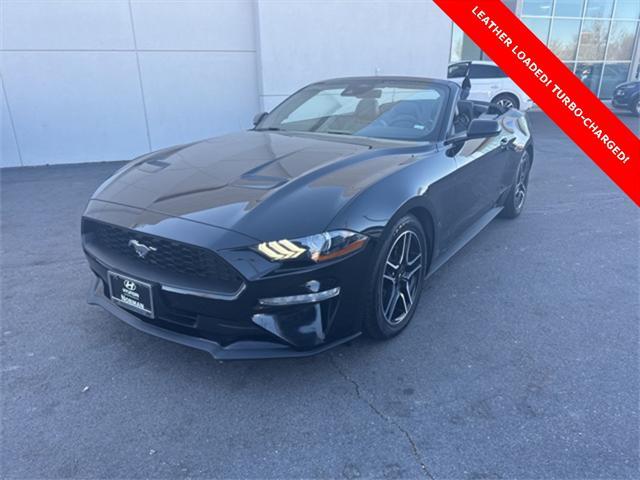 used 2023 Ford Mustang car, priced at $24,488