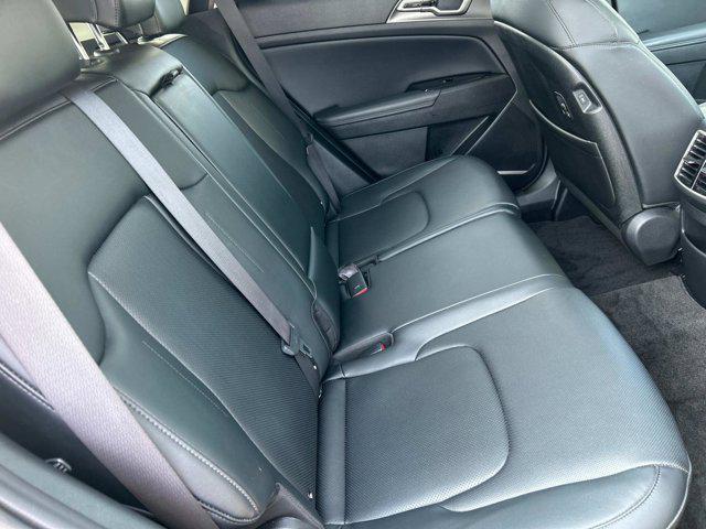 used 2023 Kia Sportage car