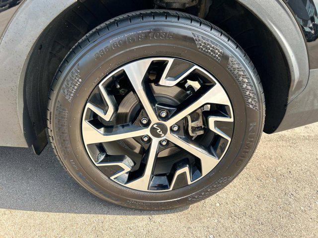 used 2023 Kia Sportage car