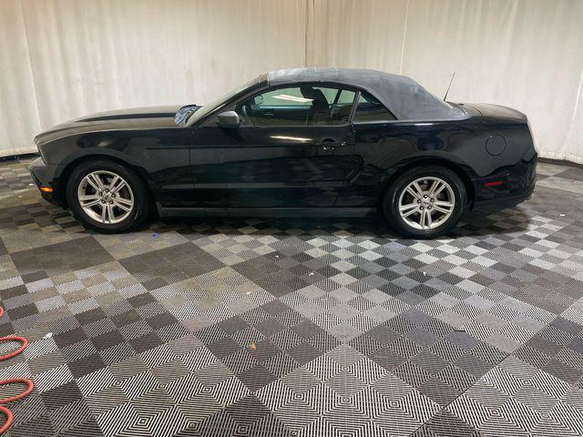 used 2011 Ford Mustang car, priced at $5,500