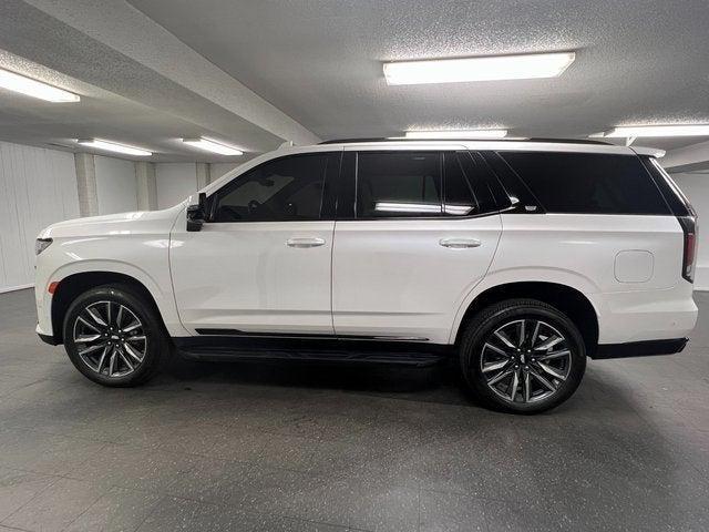 used 2023 Cadillac Escalade car