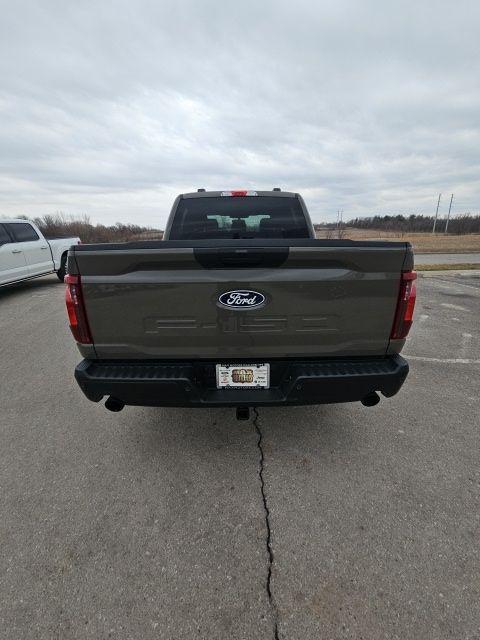 new 2025 Ford F-150 car, priced at $48,429