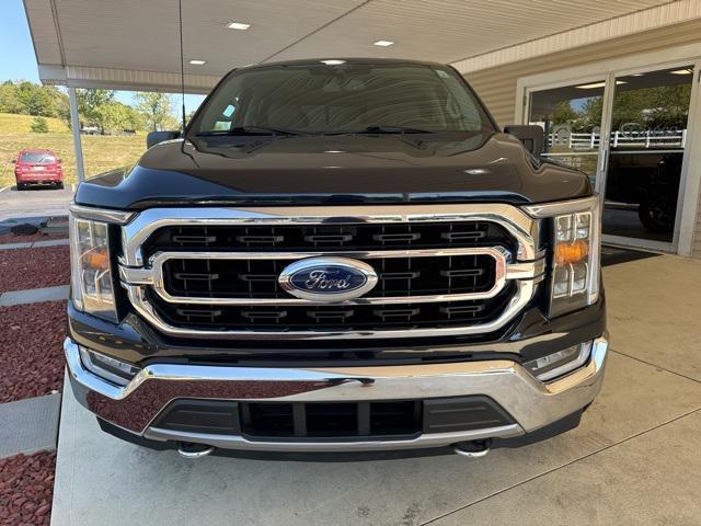 used 2021 Ford F-150 car, priced at $35,900