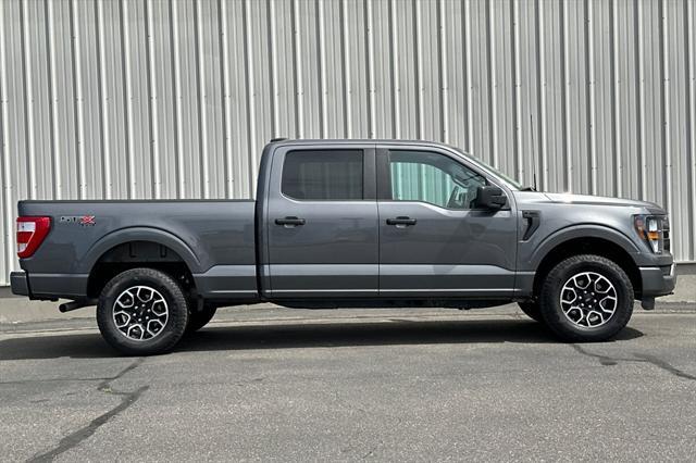 used 2023 Ford F-150 car, priced at $41,499