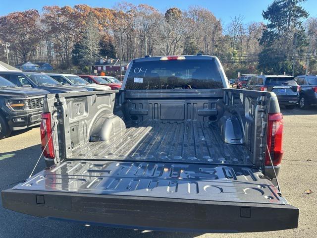 new 2024 Ford F-150 car