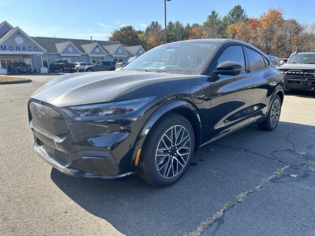 new 2024 Ford Mustang Mach-E car, priced at $43,490