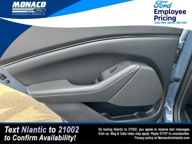new 2024 Ford Mustang Mach-E car, priced at $48,990