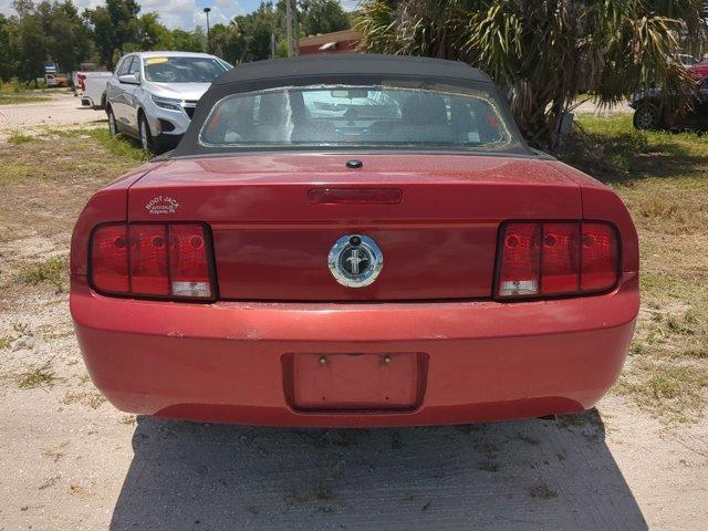 used 2008 Ford Mustang car, priced at $5,984