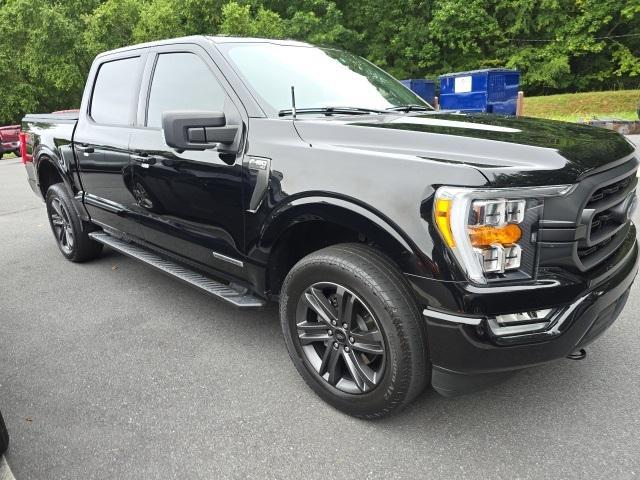 used 2023 Ford F-150 car, priced at $41,000